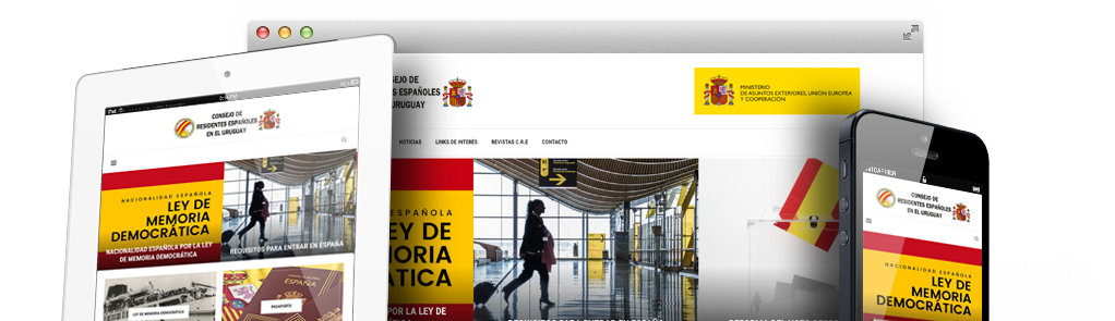 diseñador sitio web wordpress