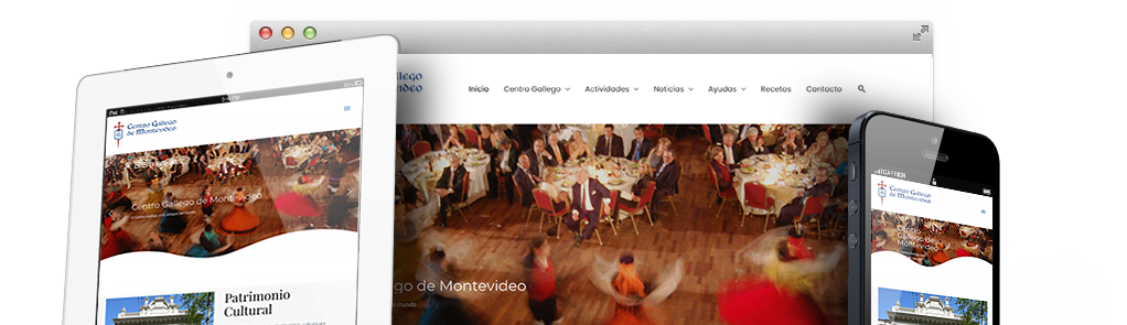 diseñador sitio web wordpress