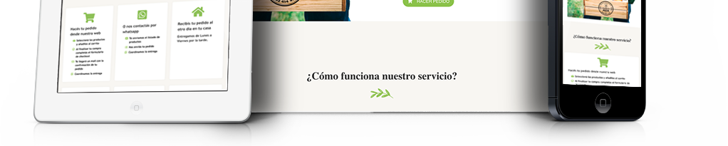 diseño paginas web uruguay
