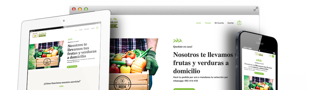 diseñador sitio web wordpress