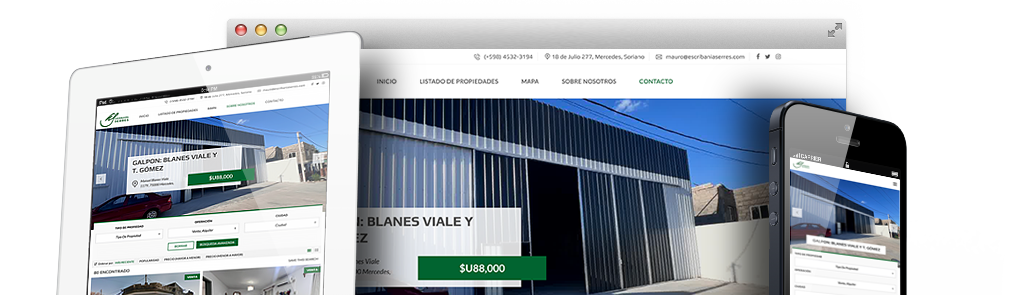 diseñador sitio web wordpress