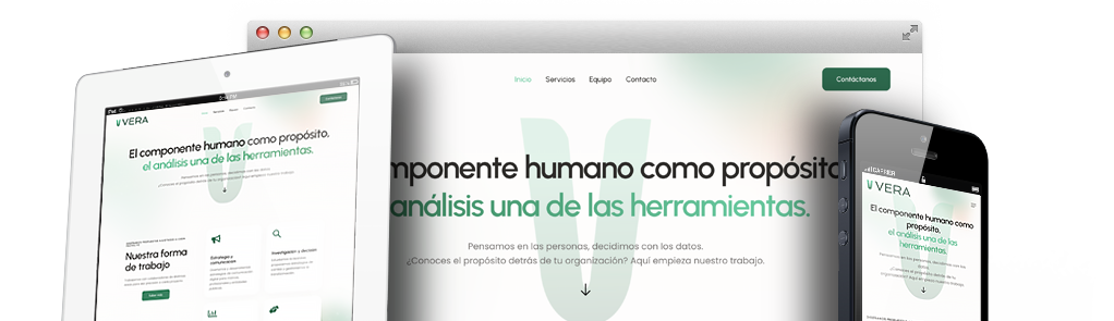 diseñador sitio web wordpress